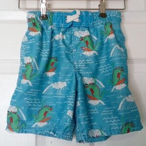 Cherokee Aqua Kids Swim Trunks with Dragon Design